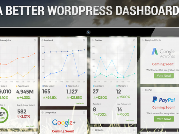 SkyStats WordPress Plugin